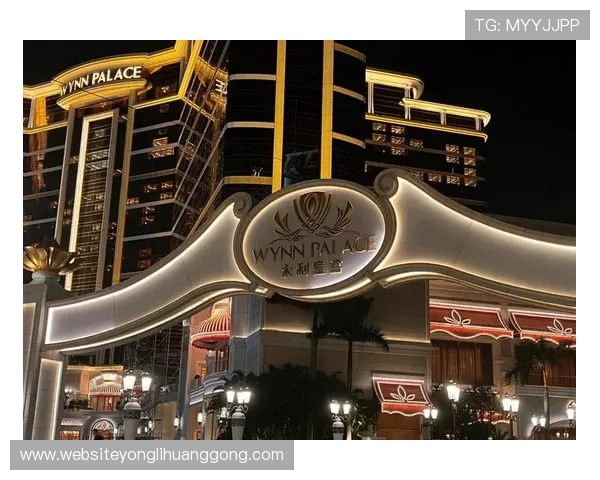 永利皇宫的运营集团是谁，企业规模与市场布局详解