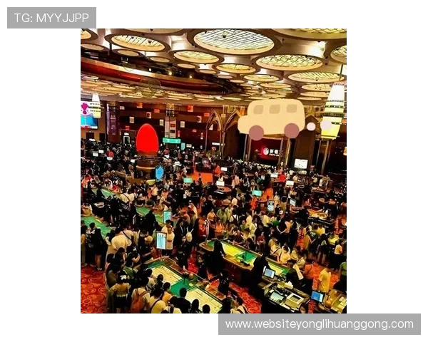 澳门十大赌场排行榜2024最新排名，揭秘最豪华最受欢迎的赌场场所