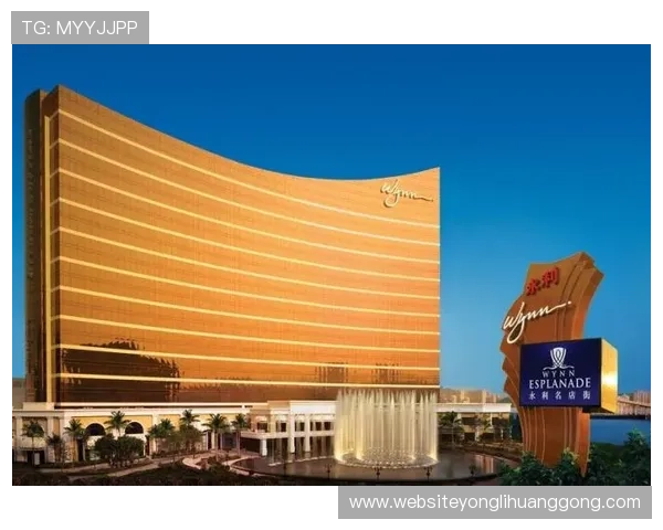 澳门永利官方首页网址最新入口，提供最全面的安全登录指南