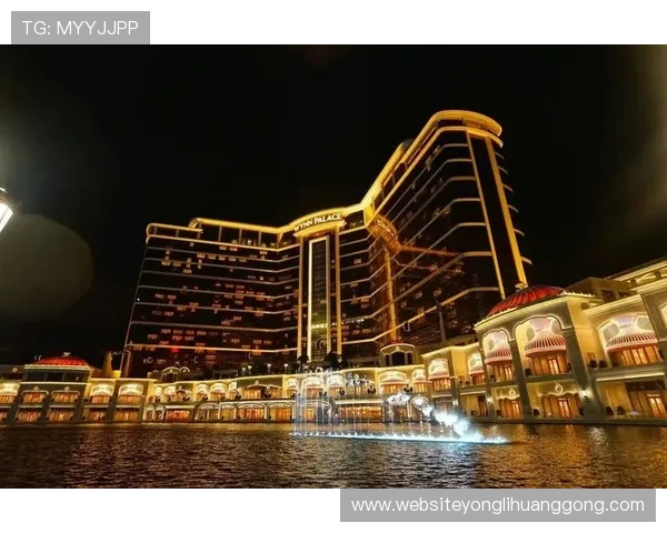 永利皇宫官网详细介绍游戏规则与玩法技巧,帮助新手快速上手实现娱乐与收益双赢