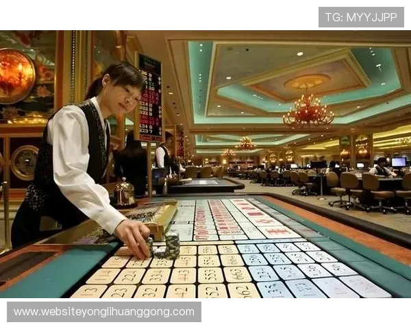 澳门几家大赌场的规模与特色全面解析，带你了解最受欢迎的博彩场所