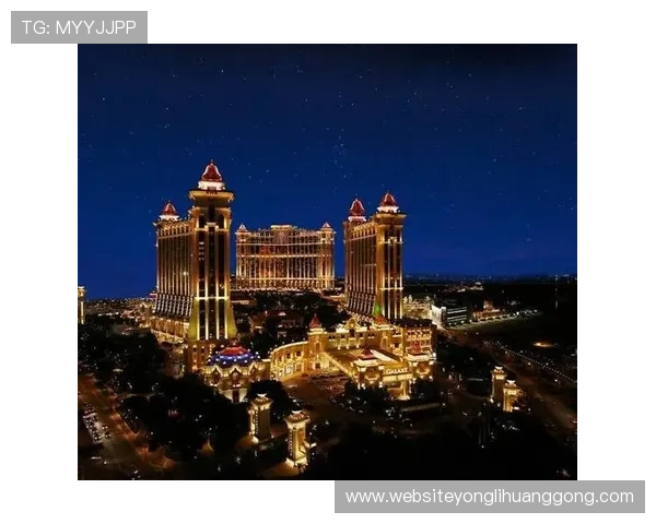 澳门十大娱乐场旅游攻略，结合娱乐、住宿与美食一站式体验推荐