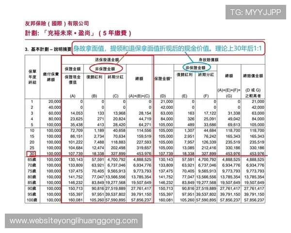 新澳门彩app官网支持多种支付方式，保障用户资金安全与快速提现的最佳选择