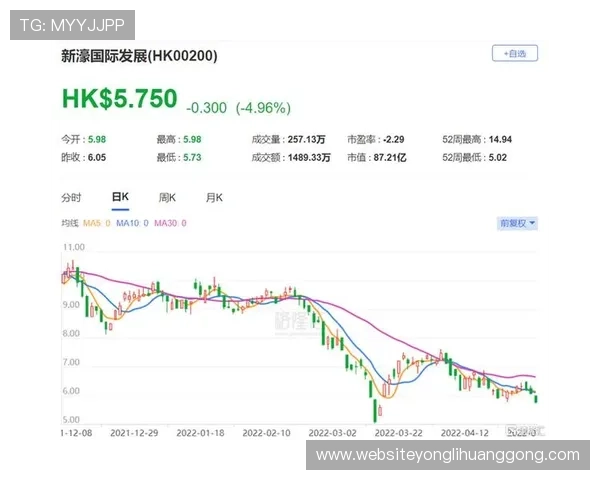 新濠国际发展在行业中的地位与竞争优势深度分析